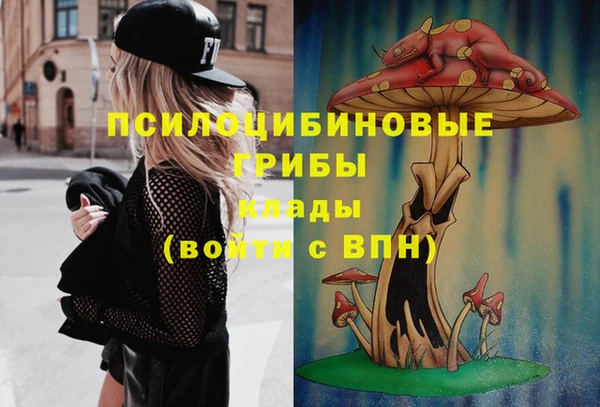 наркотики Богородицк
